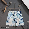 Louis VuittonShorts40* colorways Louis Vuitton rep