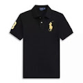 Ralph Lauren Polo Shirt21* colorways Ralph Lauren rep